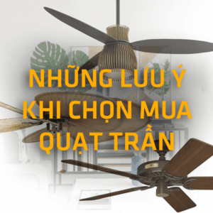 Những Lưu Ý Khi Mua Quạt Trần