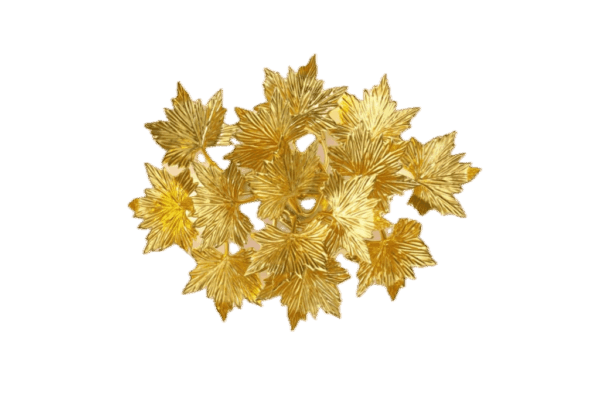 Đèn LED đèn led đèn led đèn led đèn led img 5978 scaled 1.png đèn led đèn led đèn led đèn led đèn led img 5978 scaled 1.png | DU LED